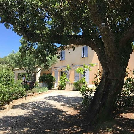 Le Mas Amore Bed & Breakfast Gassin Exterior foto