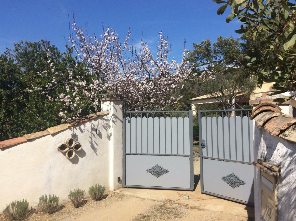 Le Mas Amore Bed & Breakfast Gassin Exterior foto
