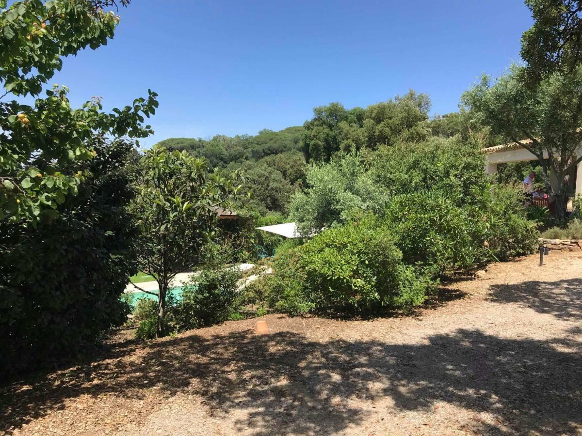 Le Mas Amore Bed & Breakfast Gassin Exterior foto