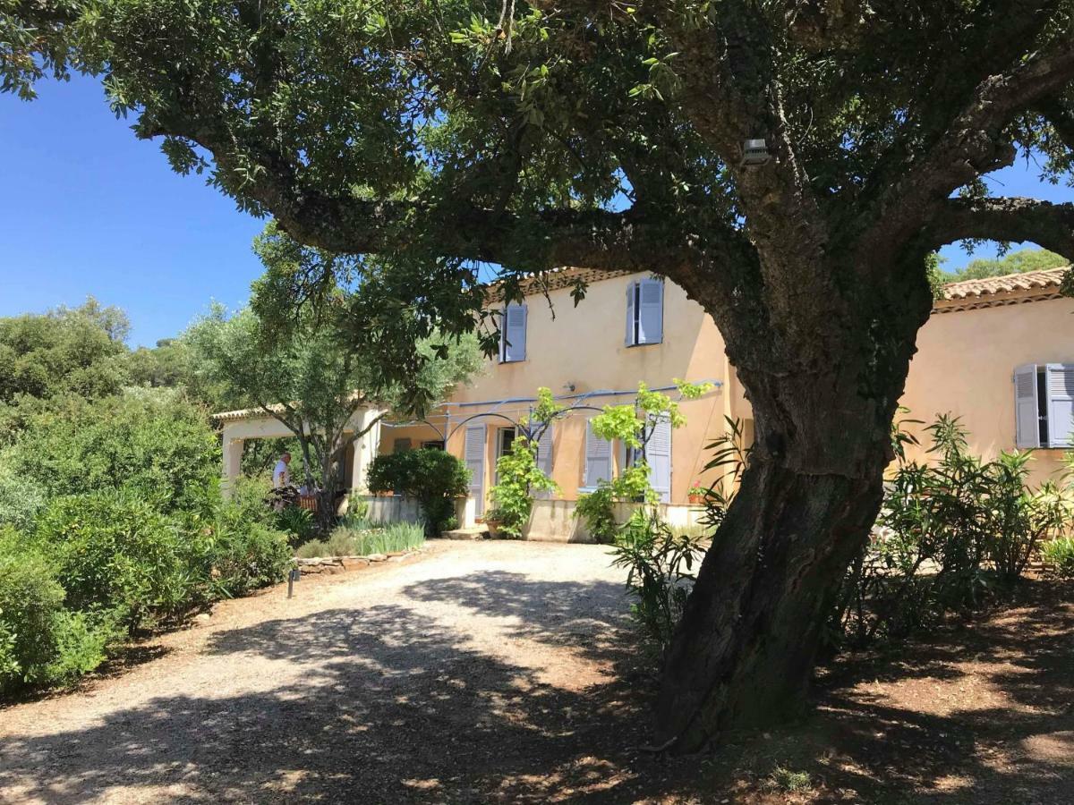 Le Mas Amore Bed & Breakfast Gassin Exterior foto